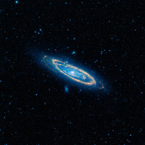 The Andromeda