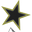 Dark Stars logo