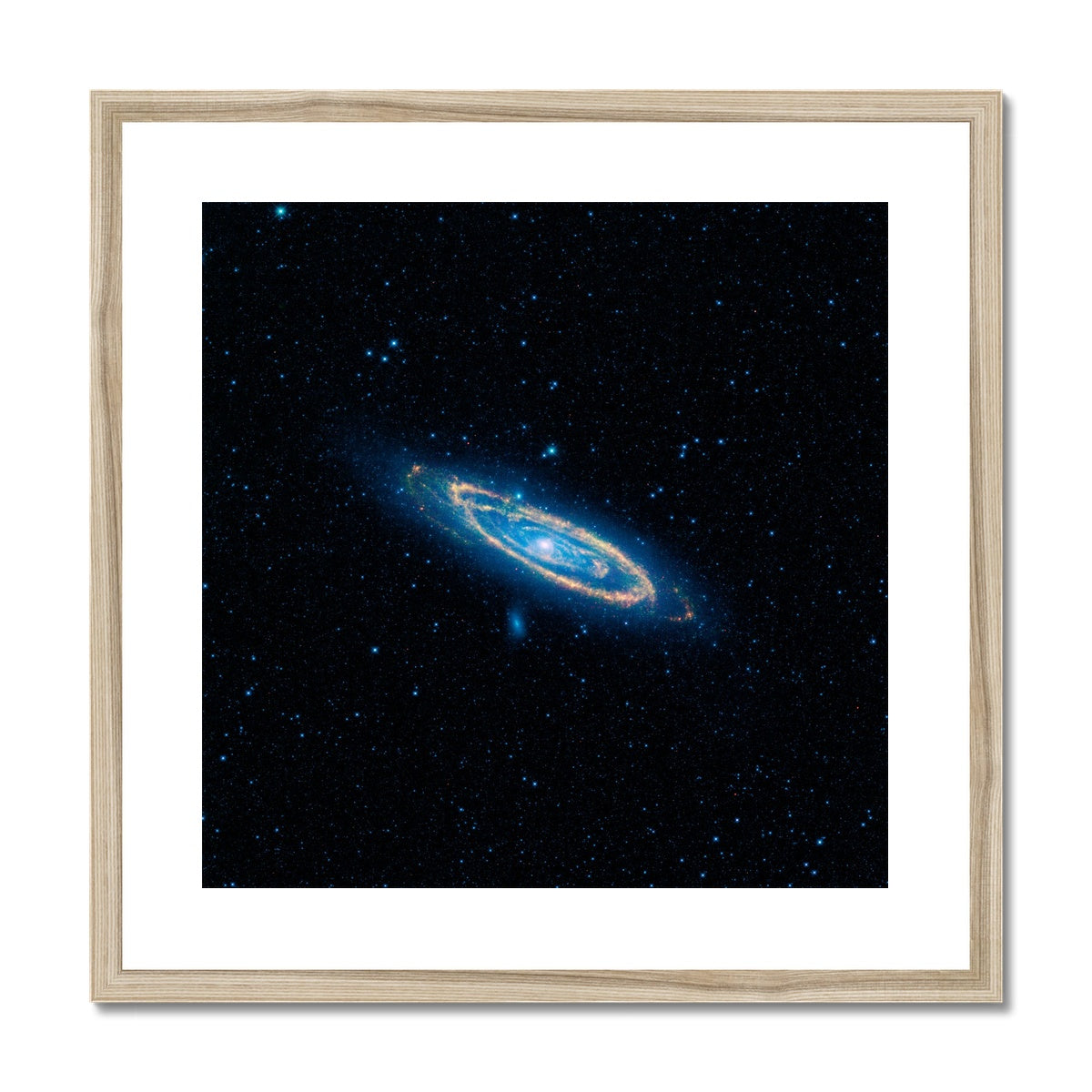 The Andromeda Framed & Mounted Print