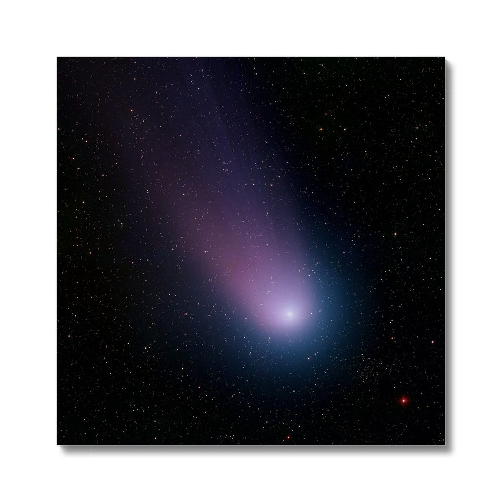 Lienzo del cometa