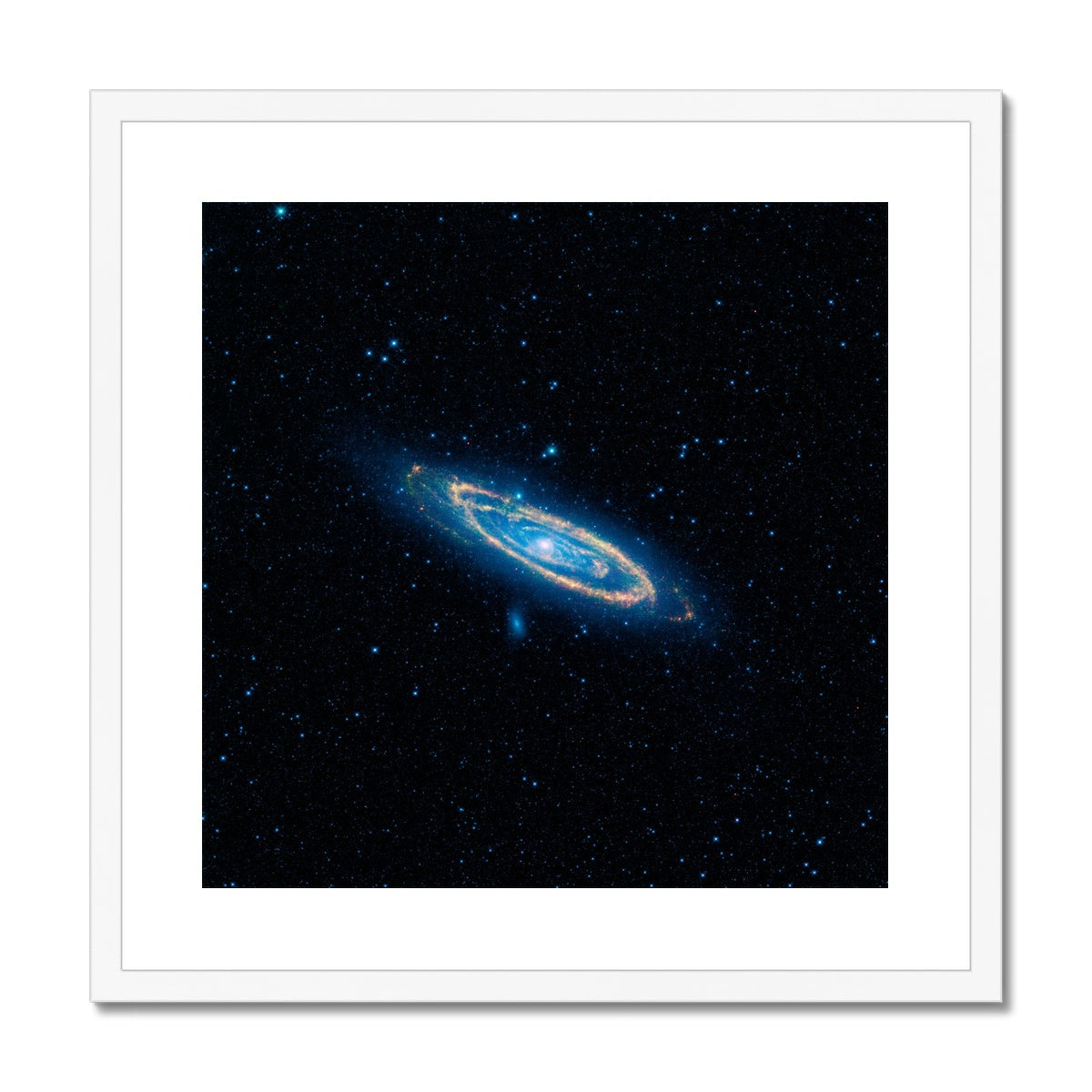 The Andromeda Framed & Mounted Print