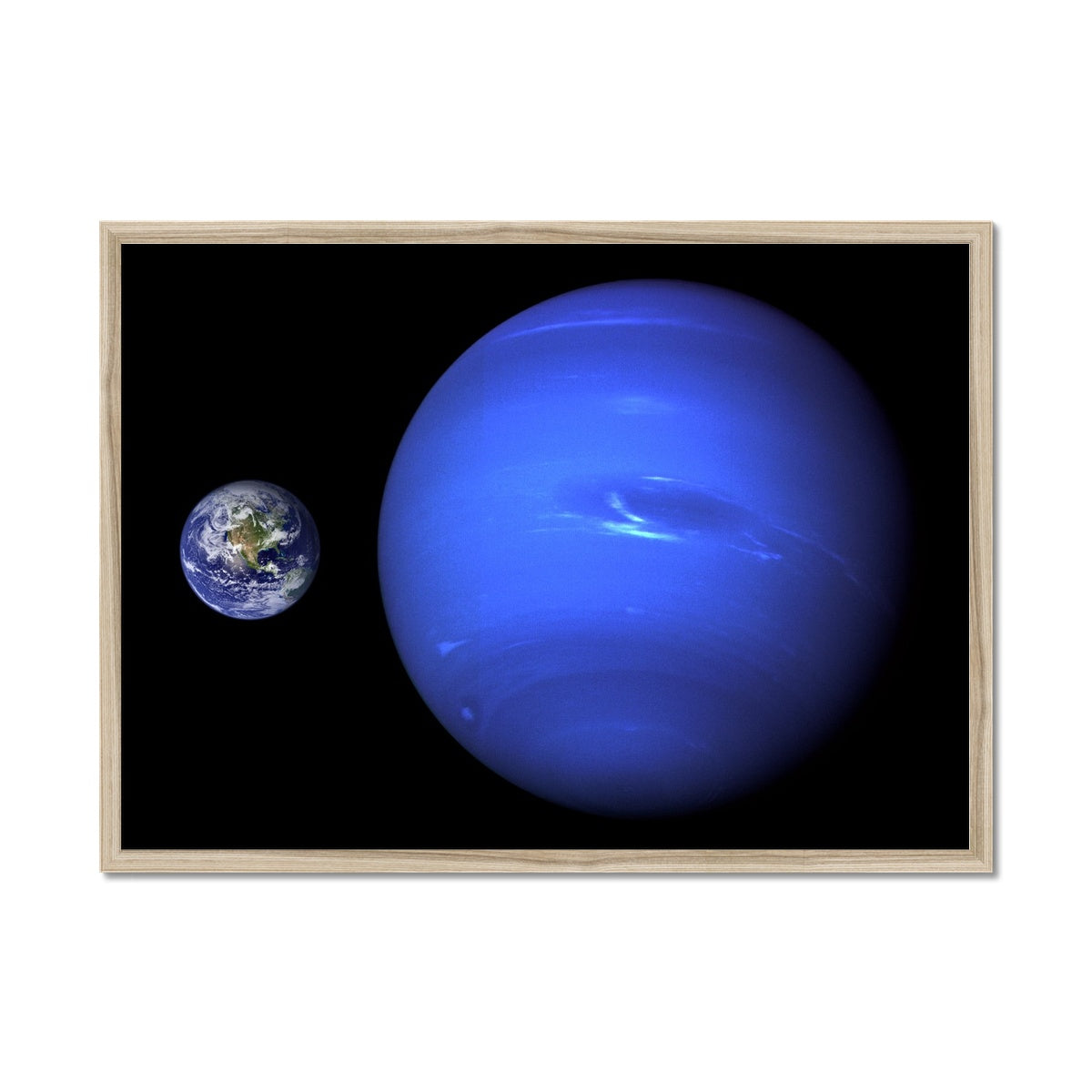 Neptune, Earth size comparison Framed Print