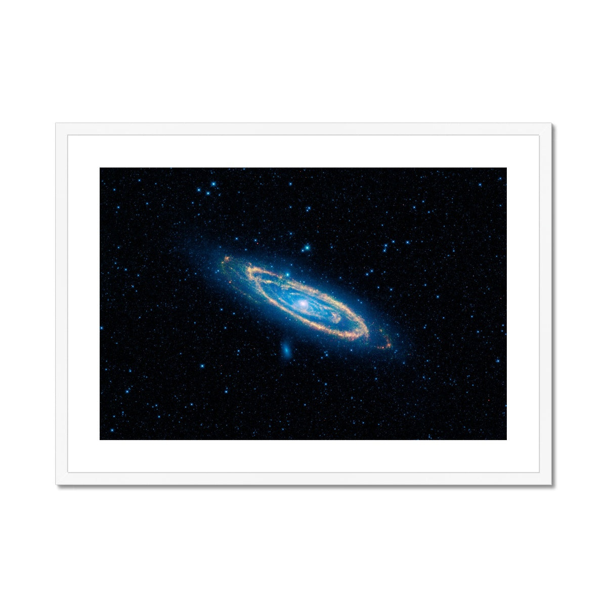 The Andromeda Framed & Mounted Print