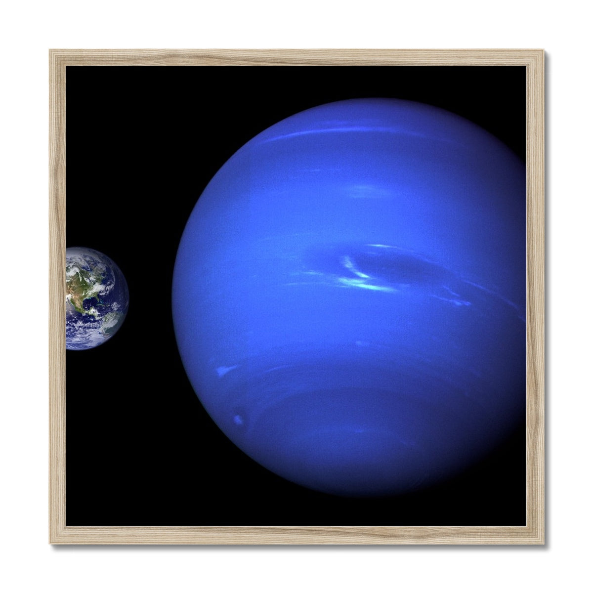 Neptune, Earth size comparison Framed Print