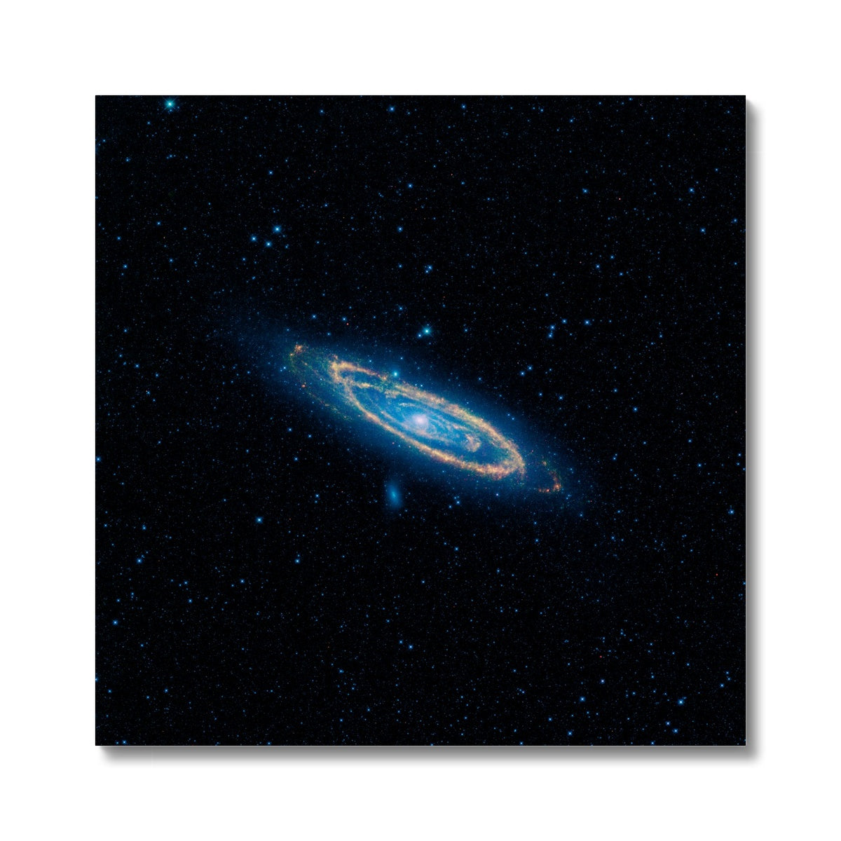 The Andromeda Canvas