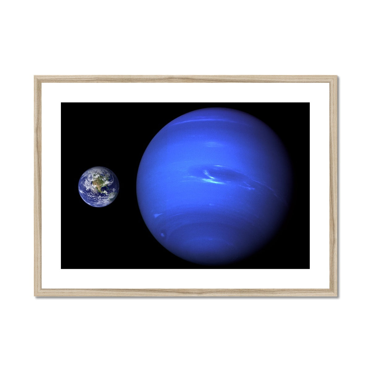 Neptune, Earth size comparison Framed & Mounted Print